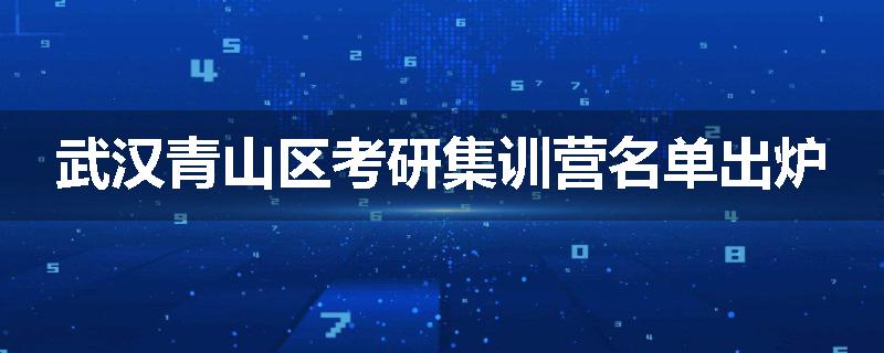 武汉青山区考研集训营名单出炉