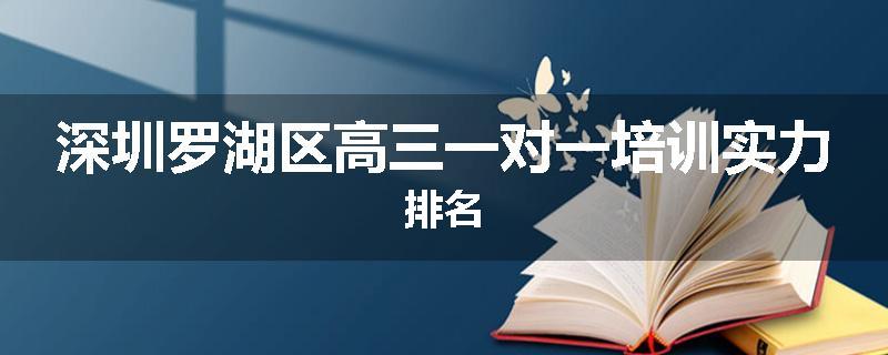 深圳罗湖区高三一对一培训实力排名