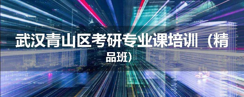 武汉青山区考研专业课培训（精品班）