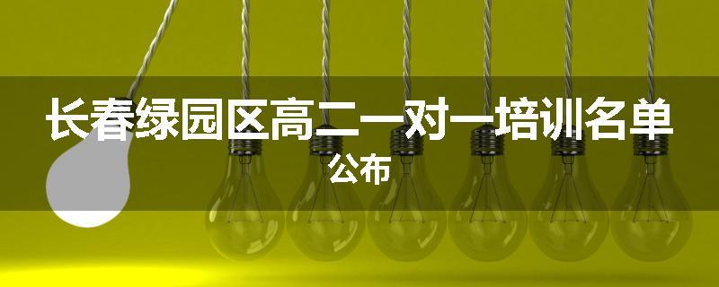 长春绿园区高二一对一培训名单公布