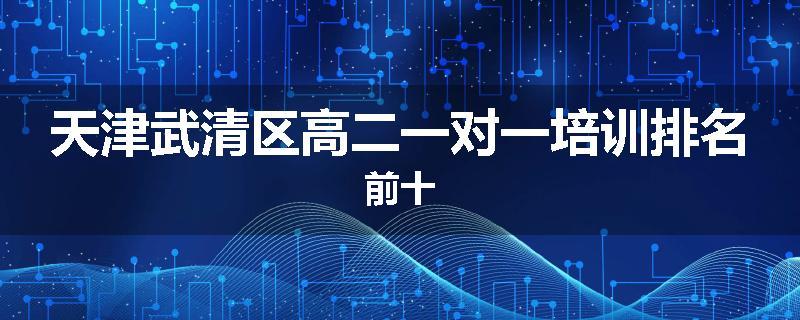 天津武清区高二一对一培训排名前十