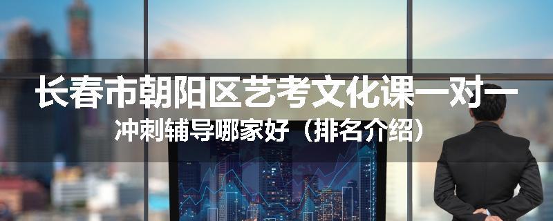 长春市朝阳区艺考文化课一对一冲刺辅导哪家好（排名介绍）