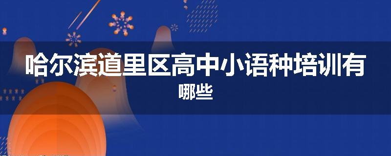 哈尔滨道里区高中小语种培训有哪些