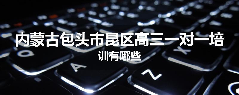 内蒙古包头市昆区高三一对一培训有哪些