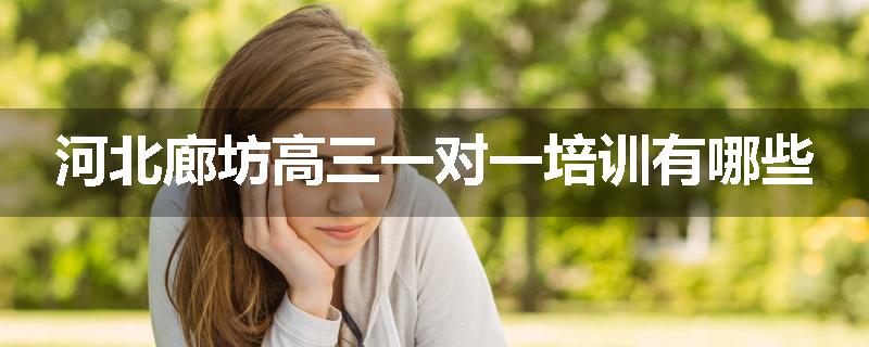 河北廊坊高三一对一培训有哪些