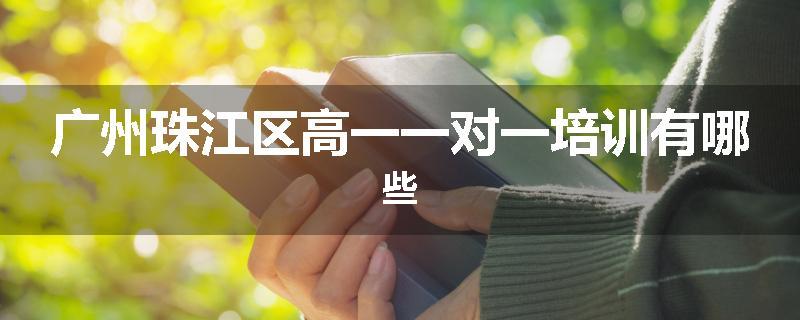 广州珠江区高一一对一培训有哪些