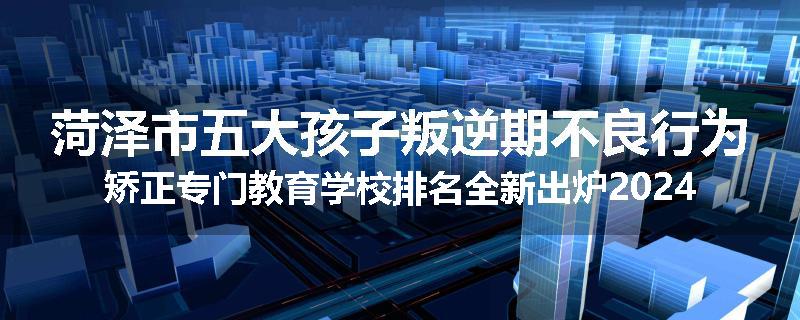 菏泽市五大孩子叛逆期不良行为矫正专门教育学校排名全新出炉2024