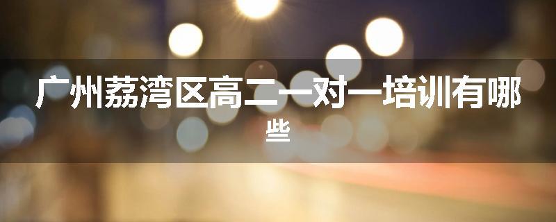 广州荔湾区高二一对一培训有哪些