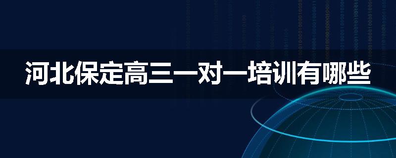 河北保定高三一对一培训有哪些