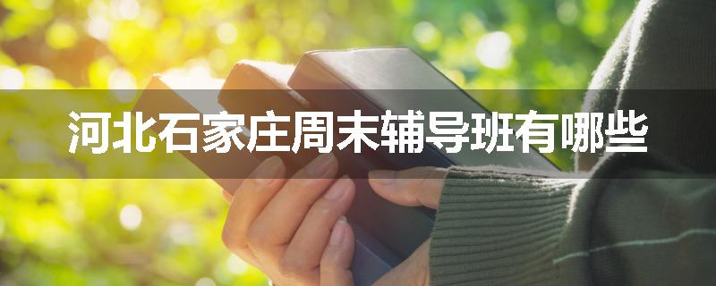 河北石家庄周末辅导班有哪些