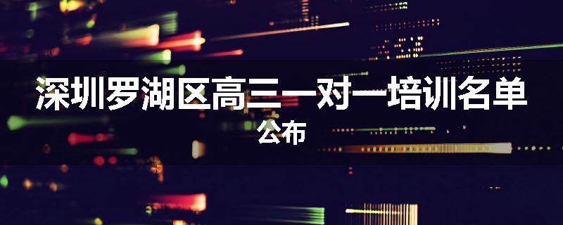 深圳罗湖区高三一对一培训名单公布