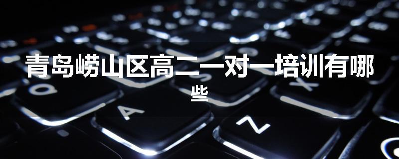 青岛崂山区高二一对一培训有哪些