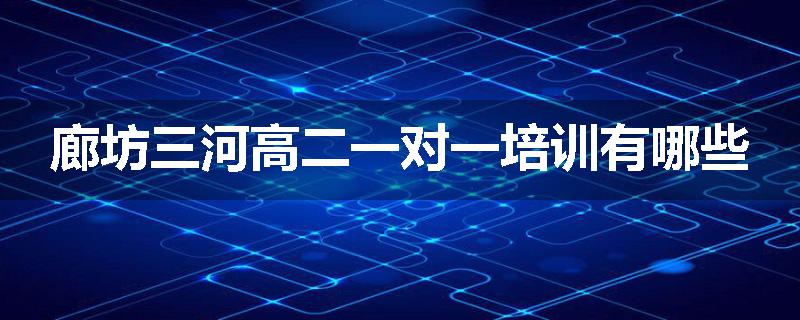 廊坊三河高二一对一培训有哪些