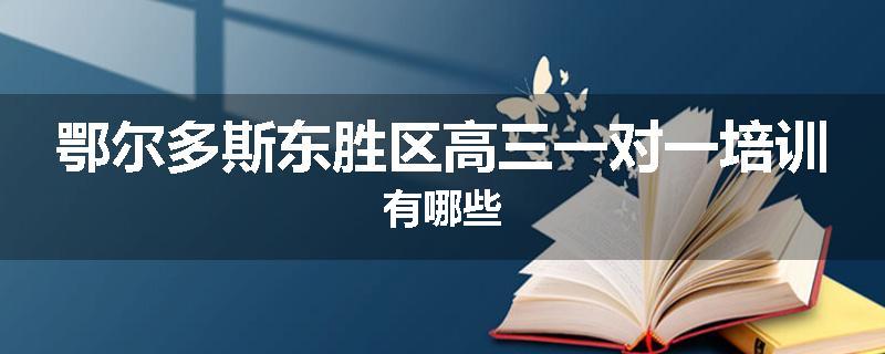 鄂尔多斯东胜区高三一对一培训有哪些