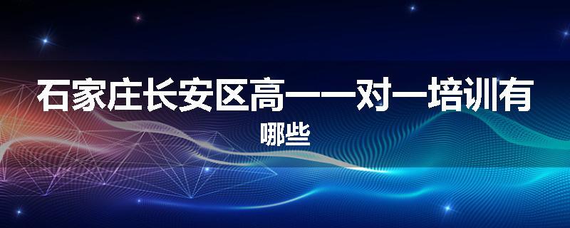 石家庄长安区高一一对一培训有哪些