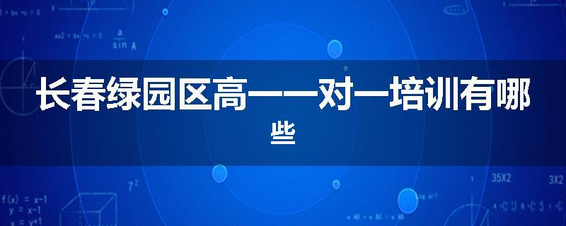 长春绿园区高一一对一培训有哪些