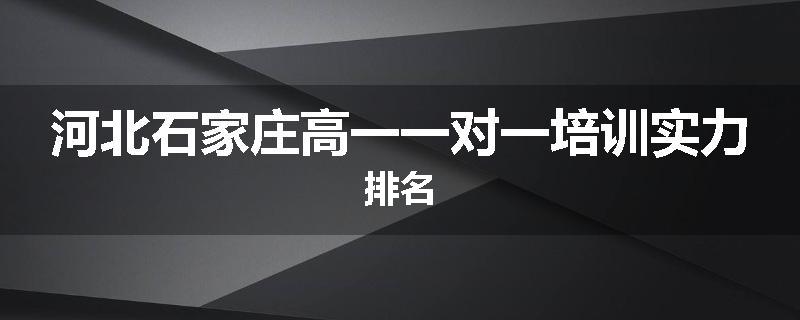 河北石家庄高一一对一培训实力排名