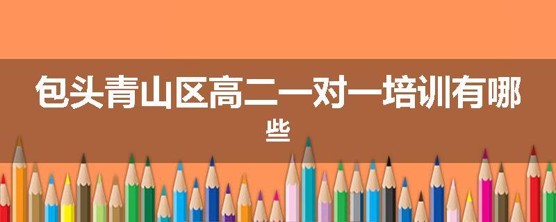 包头青山区高二一对一培训有哪些