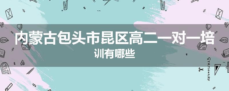 内蒙古包头市昆区高二一对一培训有哪些