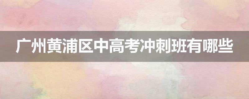 广州黄浦区中高考冲刺班有哪些