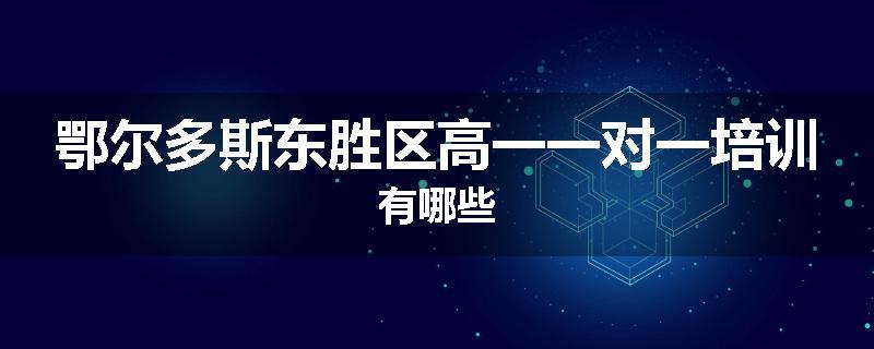 鄂尔多斯东胜区高一一对一培训有哪些