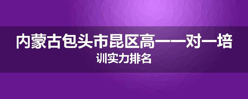 内蒙古包头市昆区高一一对一培训实力排名