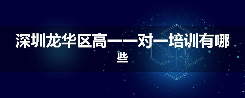 深圳龙华区高一一对一培训有哪些