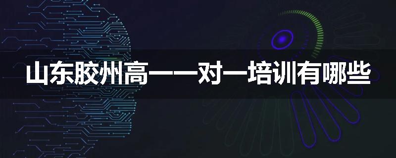 山东胶州高一一对一培训有哪些