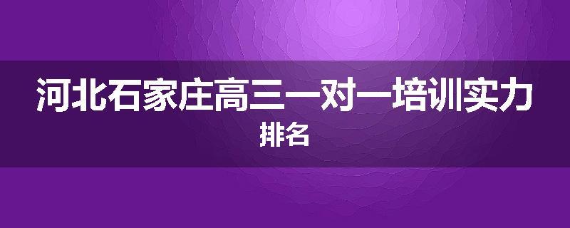 河北石家庄高三一对一培训实力排名