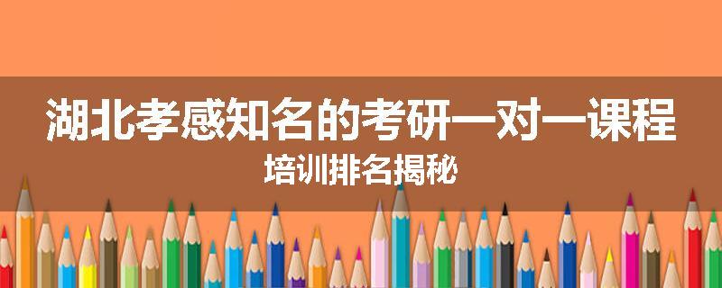 湖北孝感知名的考研一对一课程培训排名揭秘