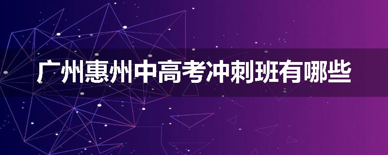 广州惠州中高考冲刺班有哪些