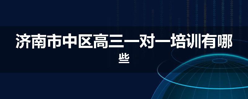 济南市中区高三一对一培训有哪些