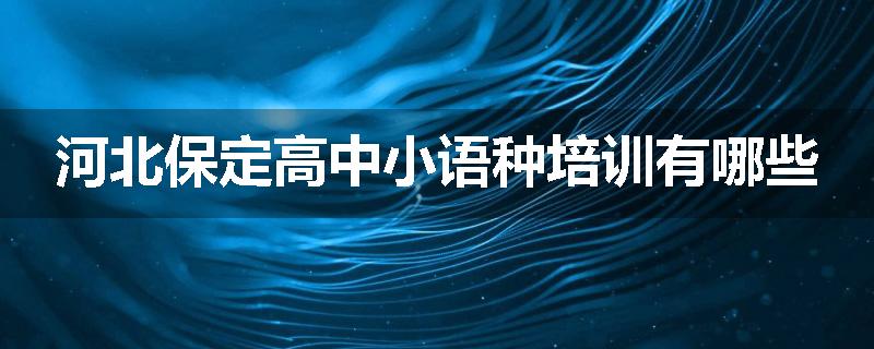 河北保定高中小语种培训有哪些