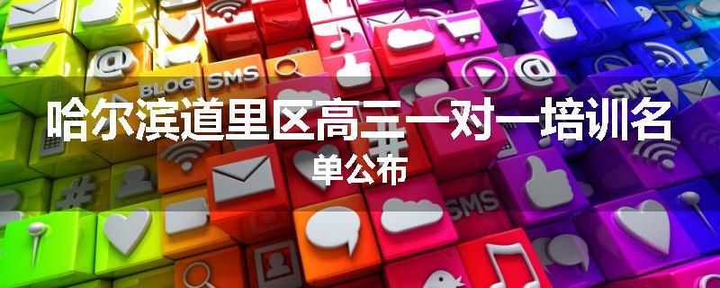 哈尔滨道里区高三一对一培训名单公布