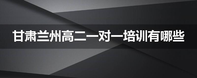 甘肃兰州高二一对一培训有哪些