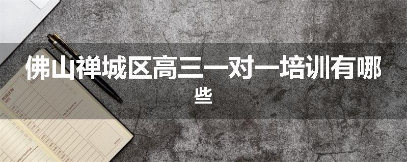 佛山禅城区高三一对一培训有哪些