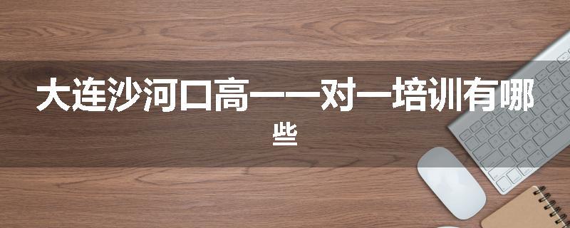 大连沙河口高一一对一培训有哪些