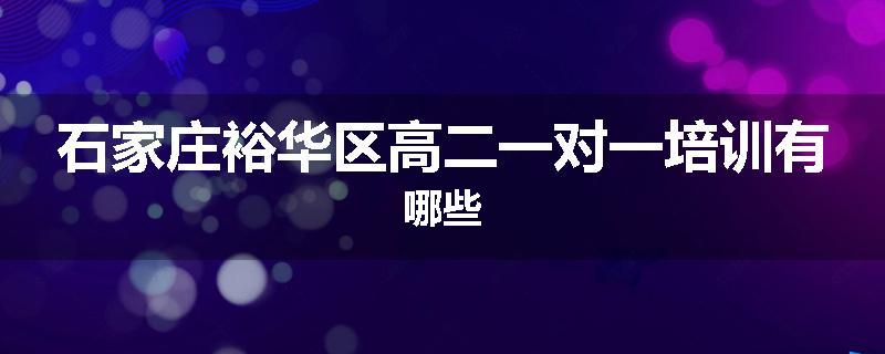 石家庄裕华区高二一对一培训有哪些