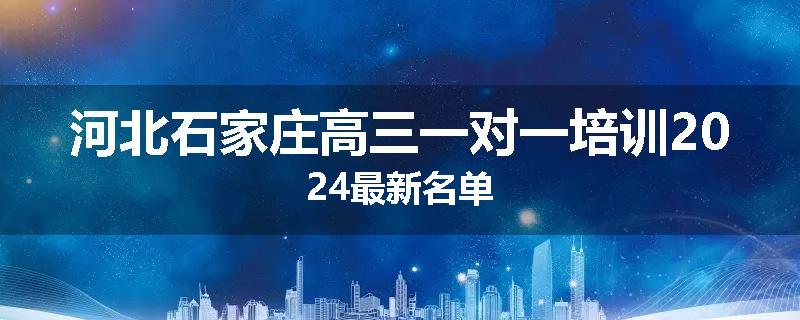 河北石家庄高三一对一培训2024最新名单