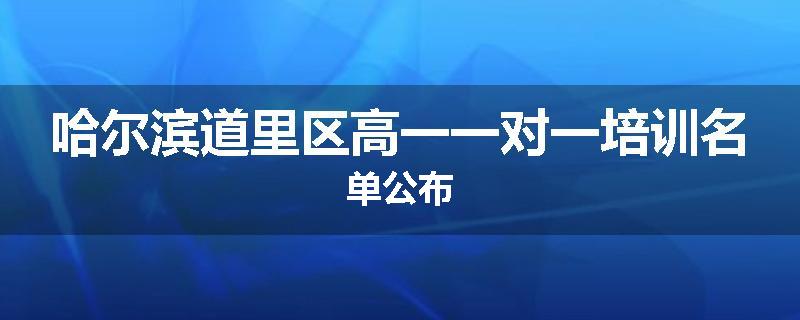 哈尔滨道里区高一一对一培训名单公布