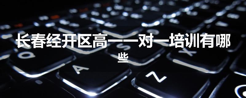 长春经开区高一一对一培训有哪些