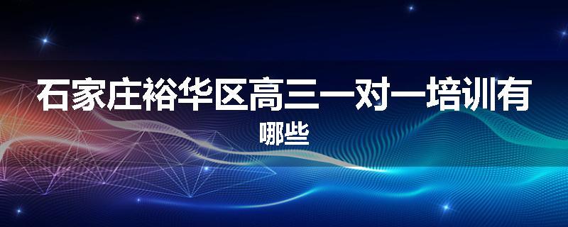 石家庄裕华区高三一对一培训有哪些