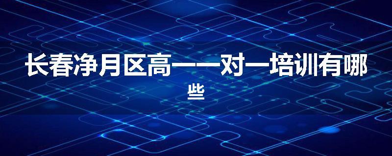 长春净月区高一一对一培训有哪些