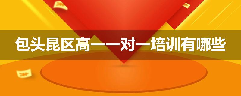 包头昆区高一一对一培训有哪些