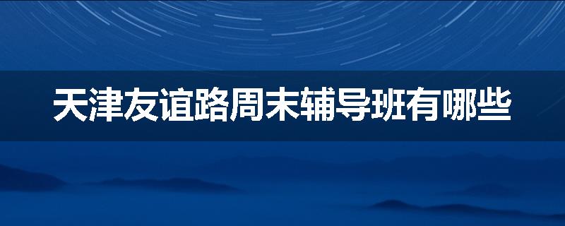 天津友谊路周末辅导班有哪些