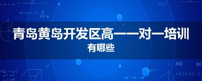 青岛黄岛开发区高一一对一培训有哪些