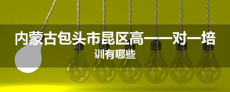 内蒙古包头市昆区高一一对一培训有哪些