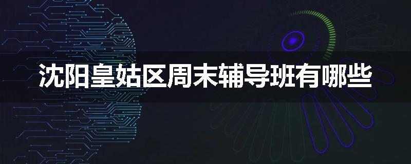 沈阳皇姑区周末辅导班有哪些