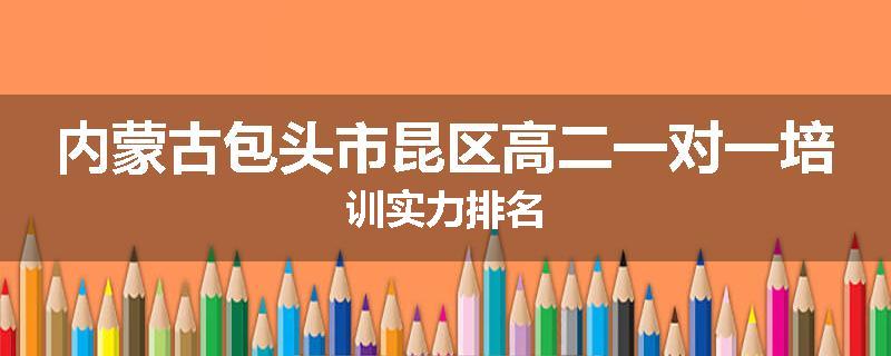 内蒙古包头市昆区高二一对一培训实力排名