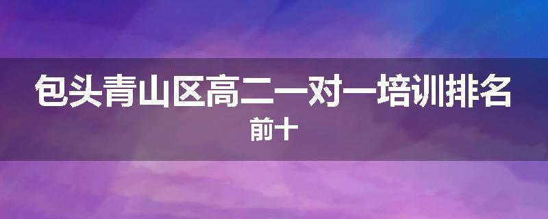 包头青山区高二一对一培训排名前十